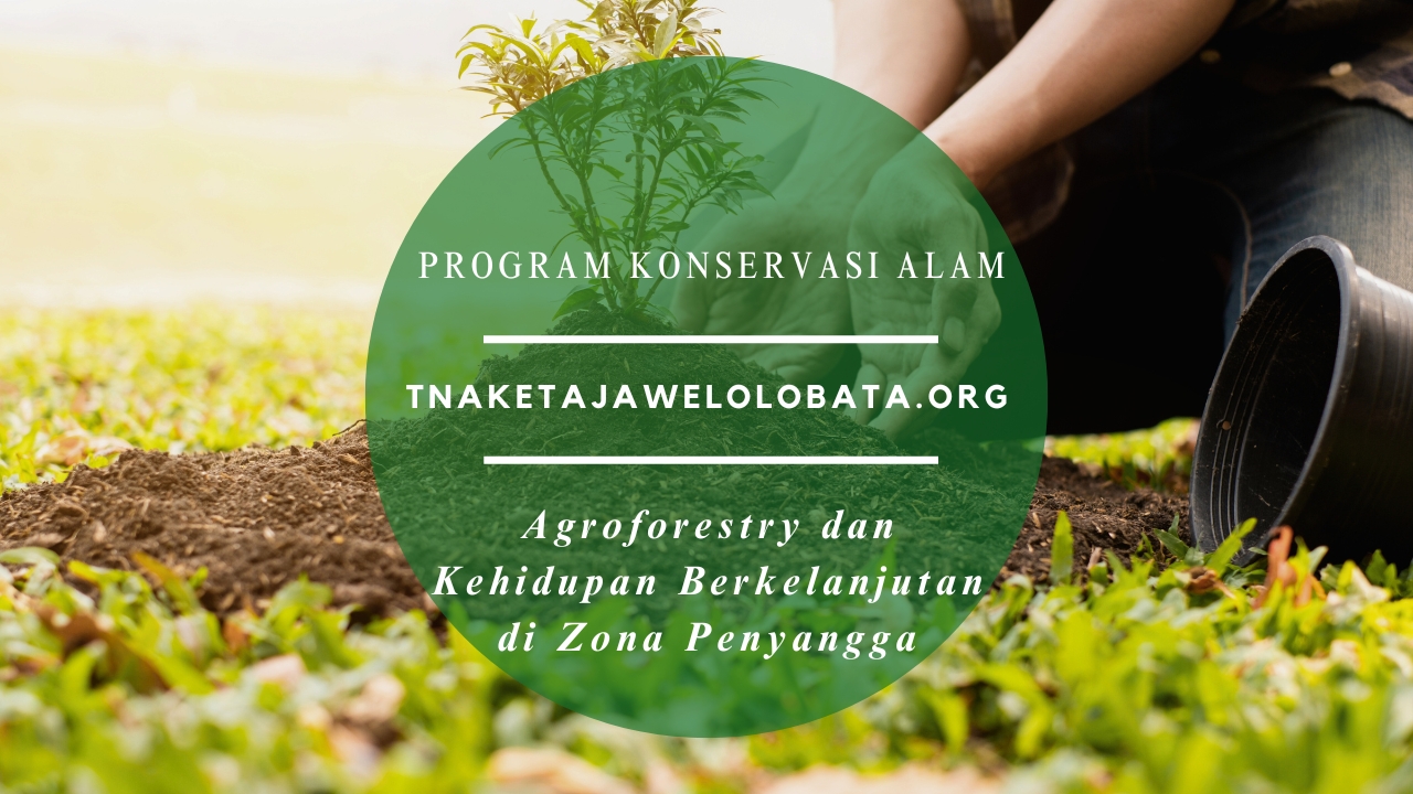 Agroforestry dan Kehidupan Berkelanjutan di Zona Penyangga
