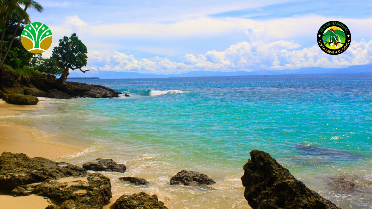 Kao Bay (Teluk Kao) - Taman Nasional Aketajawe Lolobata
