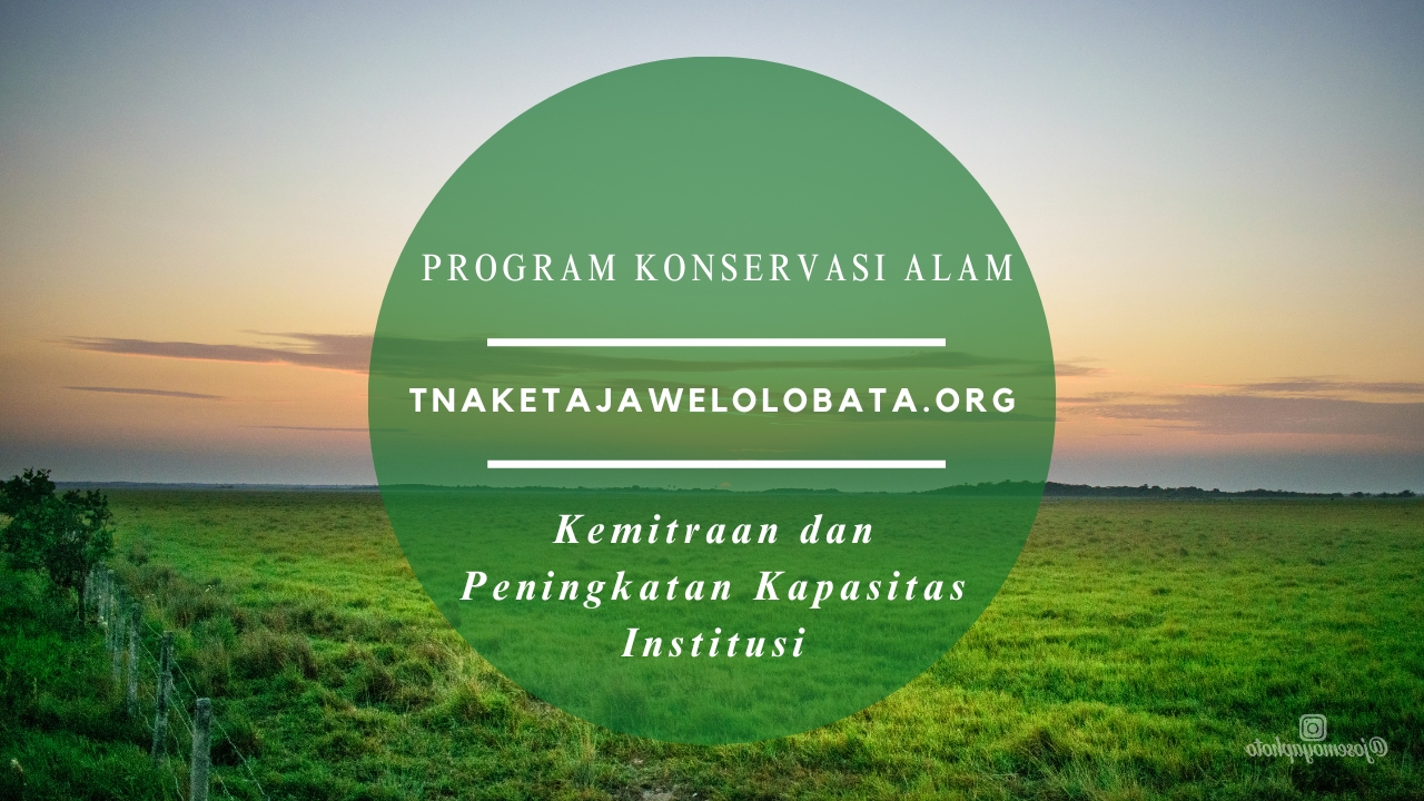 Kemitraan dan Peningkatan Kapasitas Institusi