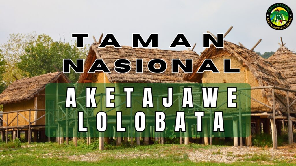 Panduan Kunjungan dan Pengalaman Wisata