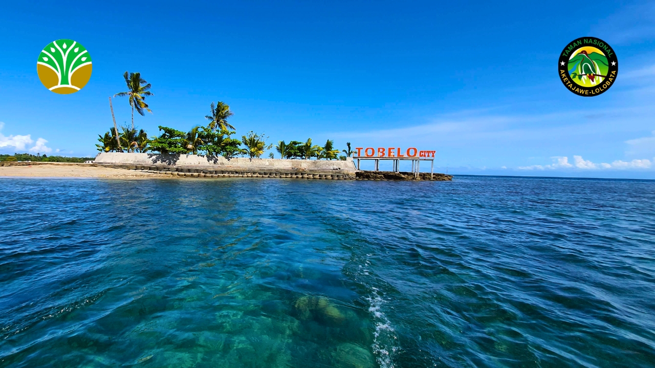 Pantai Tobelo - Taman Nasional Aketajawe Lolobata