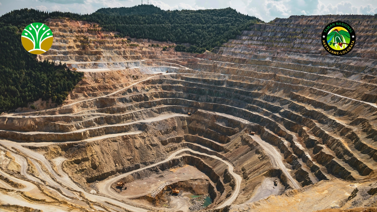 Penegakan hukum terhadap penebangan liar dan tambang