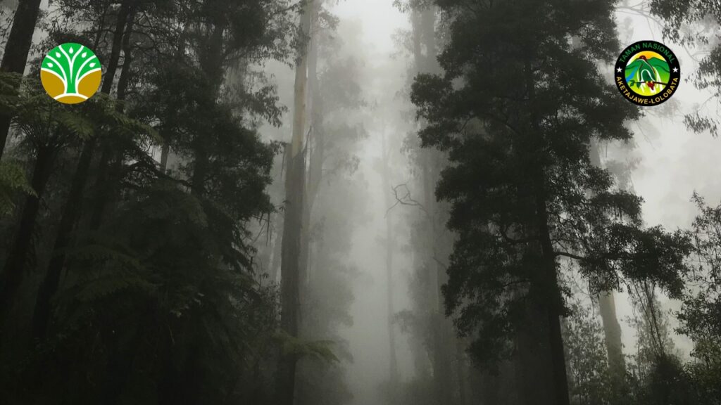 Peran Vital dalam Konservasi