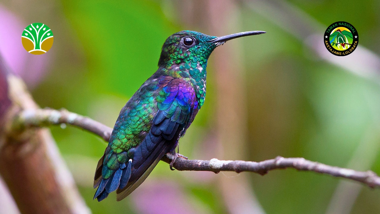 Perlindungan Sistem Penyangga Kehidupan