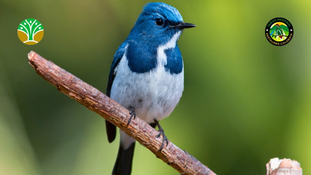 Sejarah Penetapan dan Pengelolaan