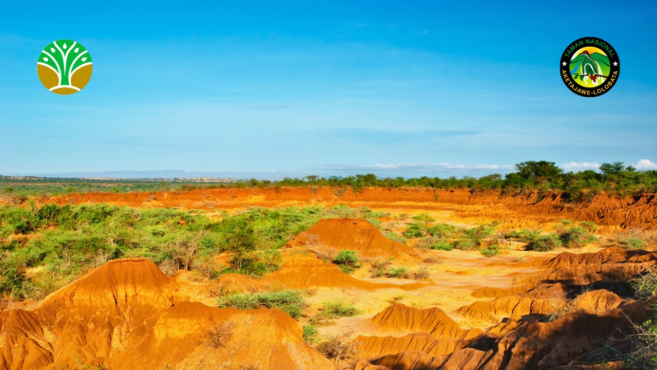 Taman Nasional Baluran