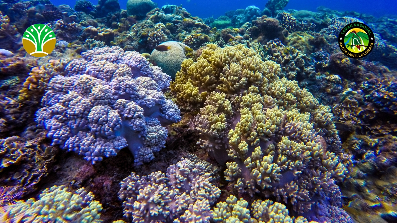 Taman Nasional Karimunjawa