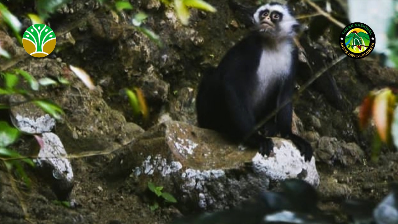 Taman Nasional Kayan Mentarang - Kalimantan Utara