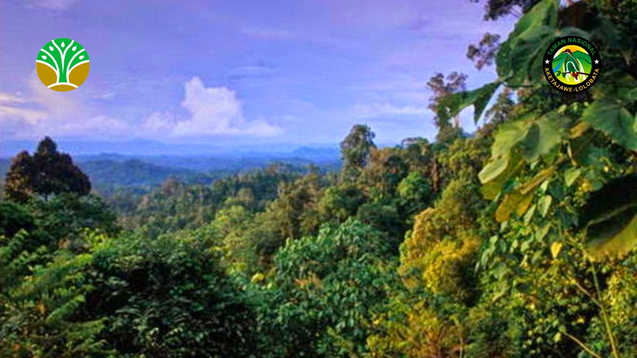 Taman Nasional Kayan Mentarang