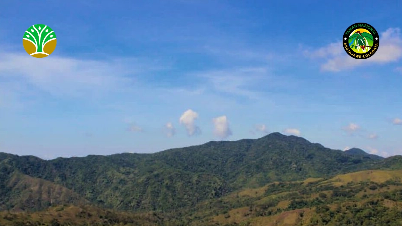 Taman Nasional Laiwangi Wanggameti