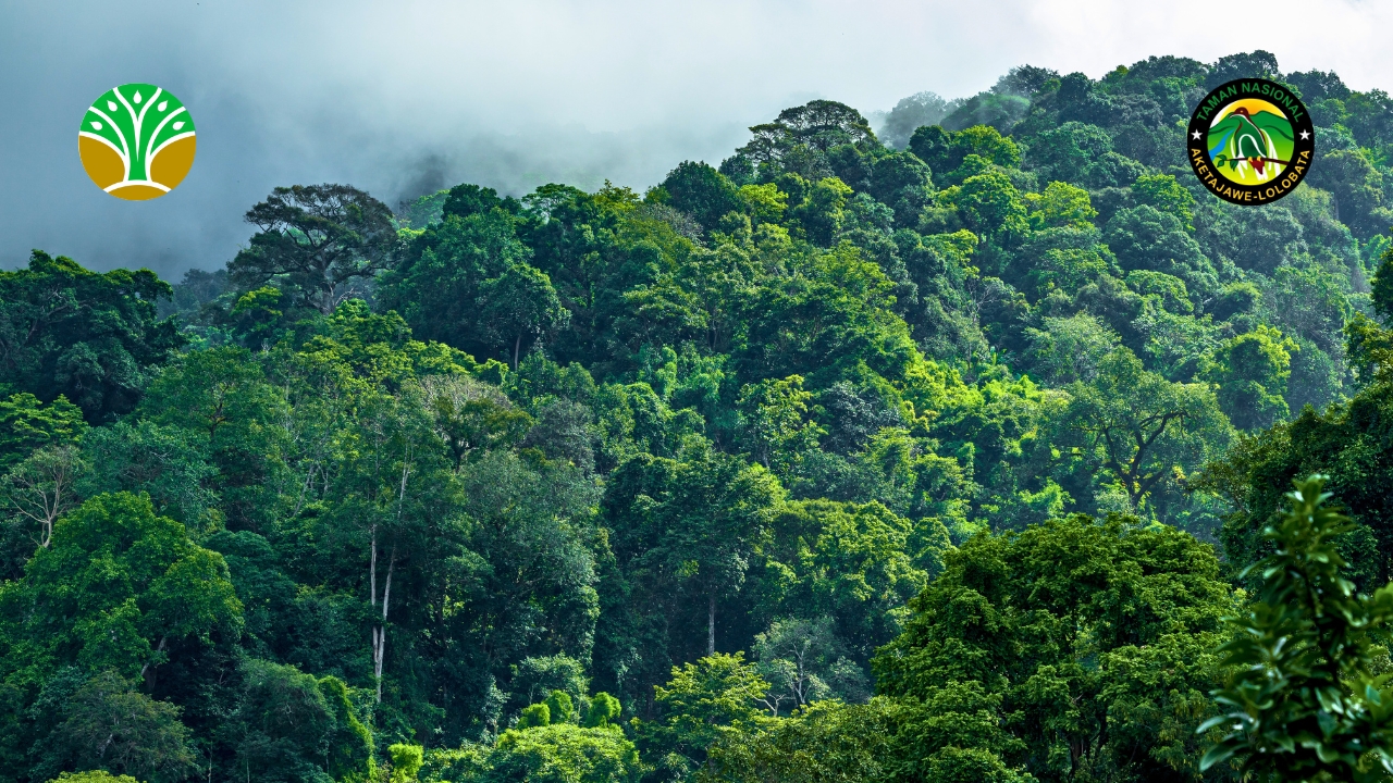 Zona Inti Taman Nasional Aketajawe Lolobata